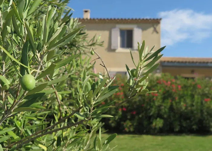 Gite Le Petit Luberon 2