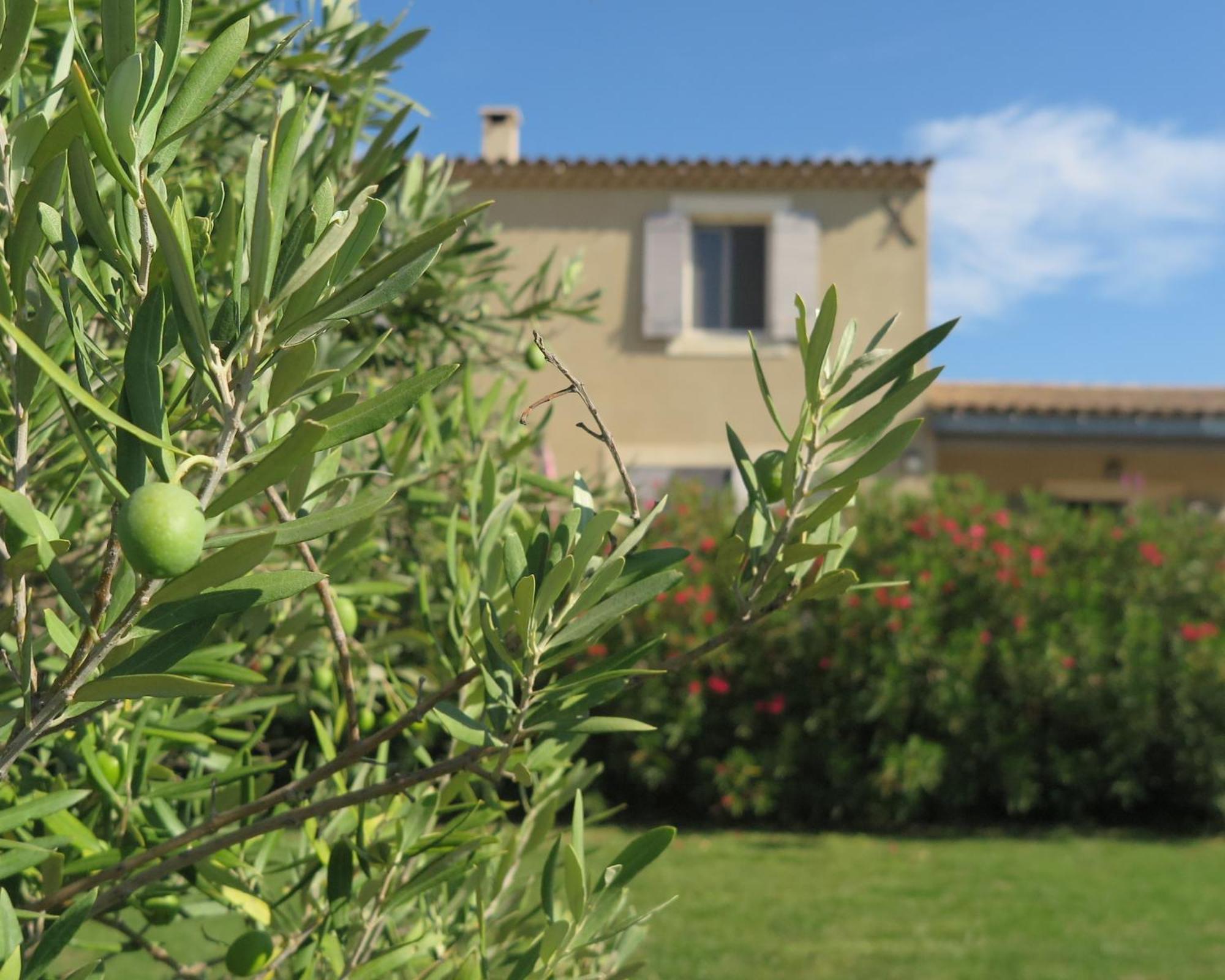 Le Petit Luberon 2